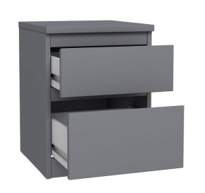 2.03.03.050.4 КАСТОР тумба 2 ящика RU серая в Тавде - tavda.ok-mebel.com | фото 2