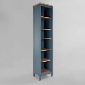 2.08.07.100.16 САГА стеллаж 50 темно-бирюзовый/ясень RU в Тавде - tavda.ok-mebel.com | фото