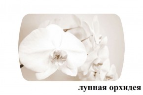 БОСТОН - 2 опоры Триумф в Тавде - tavda.ok-mebel.com | фото 18