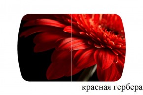 БОСТОН - 2 опоры Триумф в Тавде - tavda.ok-mebel.com | фото 50