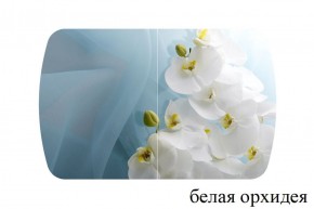 БОСТОН - 2 опоры Триумф в Тавде - tavda.ok-mebel.com | фото 52