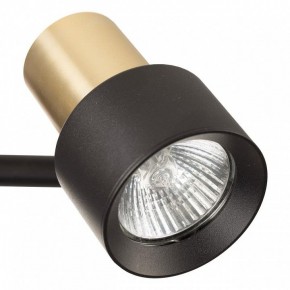 Бра Citilux SAT CL505621 в Тавде - tavda.ok-mebel.com | фото 8