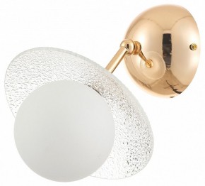 Бра Rivoli Jacqueline Б0066444 в Тавде - tavda.ok-mebel.com | фото