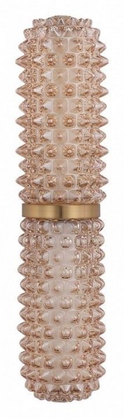 Бра ST-Luce SAGUARO SL6144.301.01 в Тавде - tavda.ok-mebel.com | фото 4