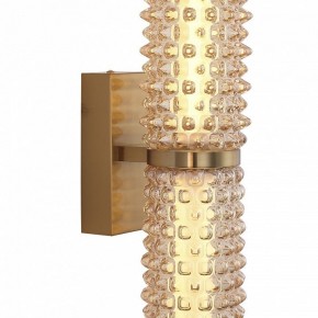Бра ST-Luce SAGUARO SL6144.301.01 в Тавде - tavda.ok-mebel.com | фото 6