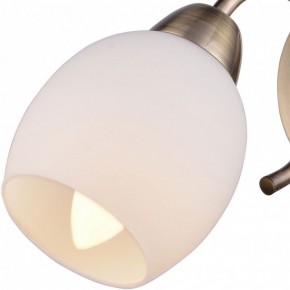 Бра TopLight Merry TL3780B-01AB в Тавде - tavda.ok-mebel.com | фото 2