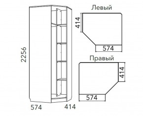 Детская Фанк Шкаф угловой Левый/Правый НМ 013.04-02 М в Тавде - tavda.ok-mebel.com | фото 3