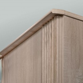 ДИАНА Д11 Шкаф для одежды в Тавде - tavda.ok-mebel.com | фото 6