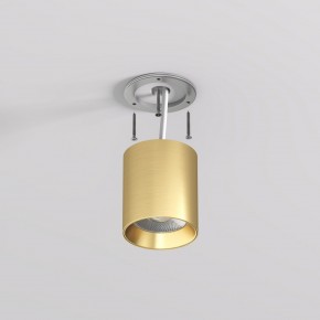 DK2610-SB Накладной светильник SHINE TUBE со светодиодом, D70*H80, IP20, 3000К, 10W, RA?90, сатинированная латунь, алюминий в Тавде - tavda.ok-mebel.com | фото 3