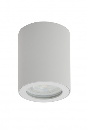 DK3007-WH Накладной светильник влагозащ., IP 44, 15 Вт, GU10, белый, алюминий в Тавде - tavda.ok-mebel.com | фото