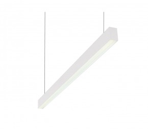 DK9124-WH Линейный светильник 30W 1250mm 4000K, белый в Тавде - tavda.ok-mebel.com | фото