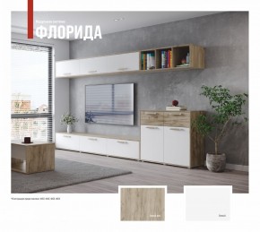 ФЛОРИДА Гостиная (модульная) дуб серый/белый в Тавде - tavda.ok-mebel.com | фото
