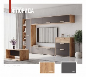 ФЛОРИДА Гостиная (модульная) дуб золотой/графит в Тавде - tavda.ok-mebel.com | фото