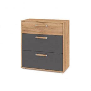 ФЛОРИДА Гостиная (модульная) дуб золотой/графит в Тавде - tavda.ok-mebel.com | фото 8