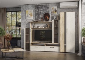 Гостиная Эмма (Дуб Крафт серый/белый) в Тавде - tavda.ok-mebel.com | фото