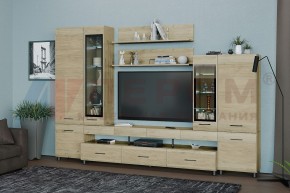 Гостиная Камелия Композиция 3 (Гикори Джексон светлый) в Тавде - tavda.ok-mebel.com | фото