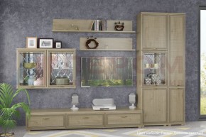 Гостиная Карина Композиция 1 (Гикори Джексон светлый) в Тавде - tavda.ok-mebel.com | фото
