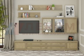 Гостиная Карина Композиция 10 (Гикори Джексон светлый) в Тавде - tavda.ok-mebel.com | фото