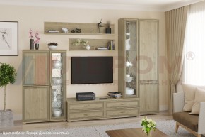 Гостиная Карина Композиция 12 (Гикори Джексон светлый) в Тавде - tavda.ok-mebel.com | фото
