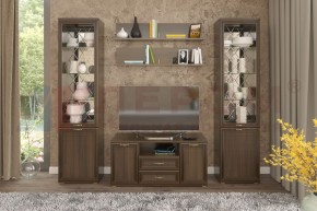Гостиная Карина Композиция 13 (Акация Молдау) в Тавде - tavda.ok-mebel.com | фото