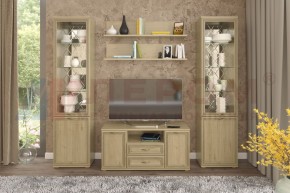 Гостиная Карина Композиция 13 (Гикори Джексон светлый) в Тавде - tavda.ok-mebel.com | фото