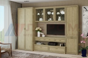Гостиная Карина Композиция 23 (Гикори Джексон светлый) в Тавде - tavda.ok-mebel.com | фото