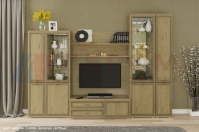 Гостиная Карина Композиция 24 (Гикори Джексон светлый) в Тавде - tavda.ok-mebel.com | фото