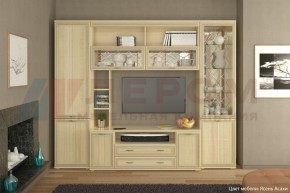 Гостиная Карина Композиция 9 (Ясень Асахи) в Тавде - tavda.ok-mebel.com | фото