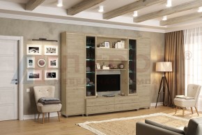 Гостиная Мелисса Композиция 9 (Гикори Джексон светлый) в Тавде - tavda.ok-mebel.com | фото 4
