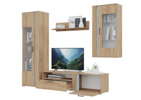 Гостиная Омега (Крафт золотой-Бетон) в Тавде - tavda.ok-mebel.com | фото 4