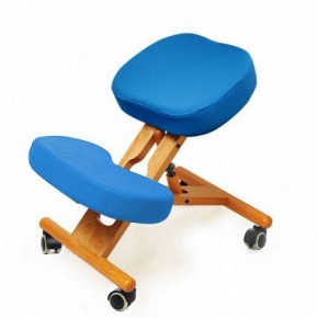 Коленный стул Smartstool KW02 + Чехлы в Тавде - tavda.ok-mebel.com | фото