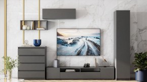 Комод Сибити в Тавде - tavda.ok-mebel.com | фото 5