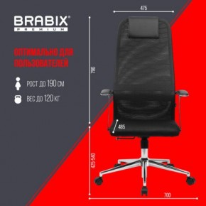Кресло BRABIX PREMIUM "Ultimate EX-801" хром, плотная двойная сетка Х2, черное, 532917 в Тавде - tavda.ok-mebel.com | фото 7