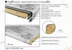 Кухонный фартук со столешницей (А-013) в едином стиле (3050 мм) в Тавде - tavda.ok-mebel.com | фото 6