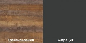 Кухонный гарнитур угловой Трансильвания 2400x1600 мм (Стол. 38 мм) в Тавде - tavda.ok-mebel.com | фото 3