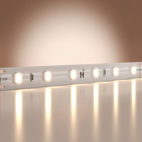 Лента светодиодная Maytoni Base 201166 в Тавде - tavda.ok-mebel.com | фото