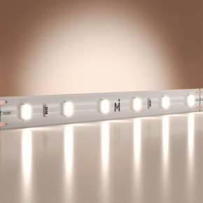 Лента светодиодная Maytoni Base 201167 в Тавде - tavda.ok-mebel.com | фото