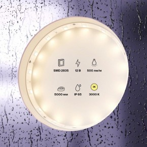 Лента светодиодная Maytoni Led strip 10105 в Тавде - tavda.ok-mebel.com | фото 2