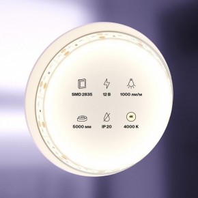 Лента светодиодная Maytoni Led strip 10109 в Тавде - tavda.ok-mebel.com | фото 2