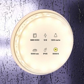 Лента светодиодная Maytoni Led strip 10131 в Тавде - tavda.ok-mebel.com | фото 2