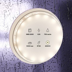 Лента светодиодная Maytoni Led strip 20005 в Тавде - tavda.ok-mebel.com | фото 2