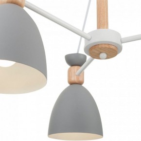 Люстра на штанге Freya Delia FR5033CL-05W в Тавде - tavda.ok-mebel.com | фото