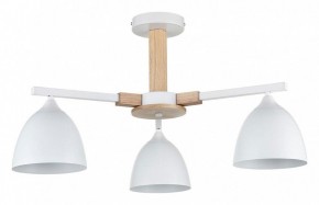 Люстра на штанге Lumion Colange 8095/3C в Тавде - tavda.ok-mebel.com | фото