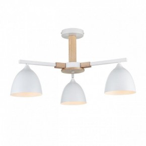 Люстра на штанге Lumion Colange 8095/3C в Тавде - tavda.ok-mebel.com | фото 2