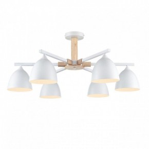 Люстра на штанге Lumion Colange 8095/6C в Тавде - tavda.ok-mebel.com | фото 2
