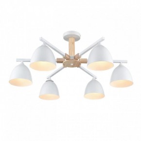 Люстра на штанге Lumion Colange 8095/6C в Тавде - tavda.ok-mebel.com | фото 3