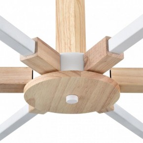 Люстра на штанге Lumion Colange 8095/6C в Тавде - tavda.ok-mebel.com | фото 7