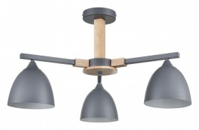 Люстра на штанге Lumion Colange 8096/3C в Тавде - tavda.ok-mebel.com | фото
