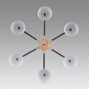 Люстра на штанге Lumion Colange 8096/6C в Тавде - tavda.ok-mebel.com | фото 4