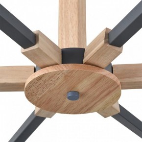 Люстра на штанге Lumion Colange 8096/6C в Тавде - tavda.ok-mebel.com | фото 7